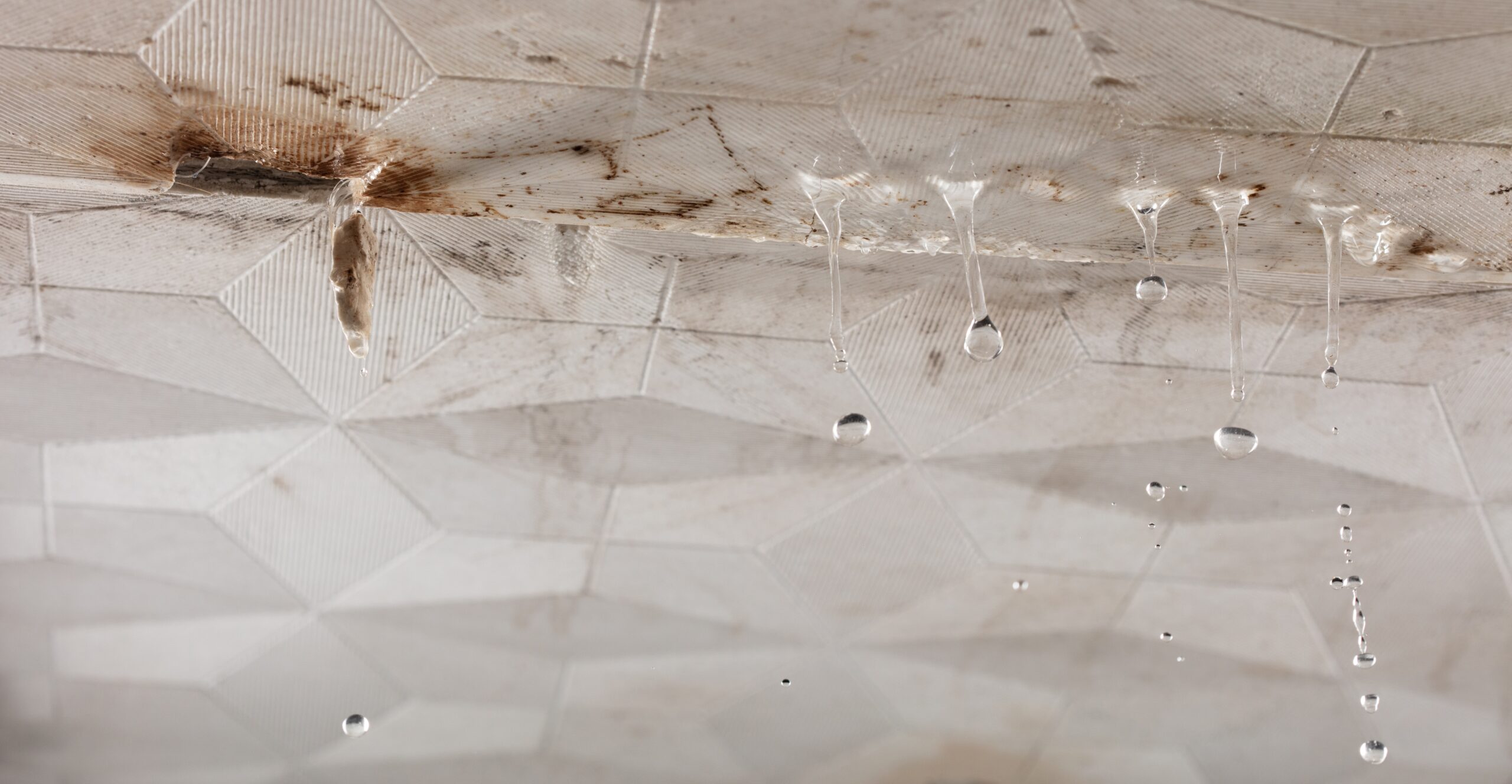 Water leaks through plasterboard