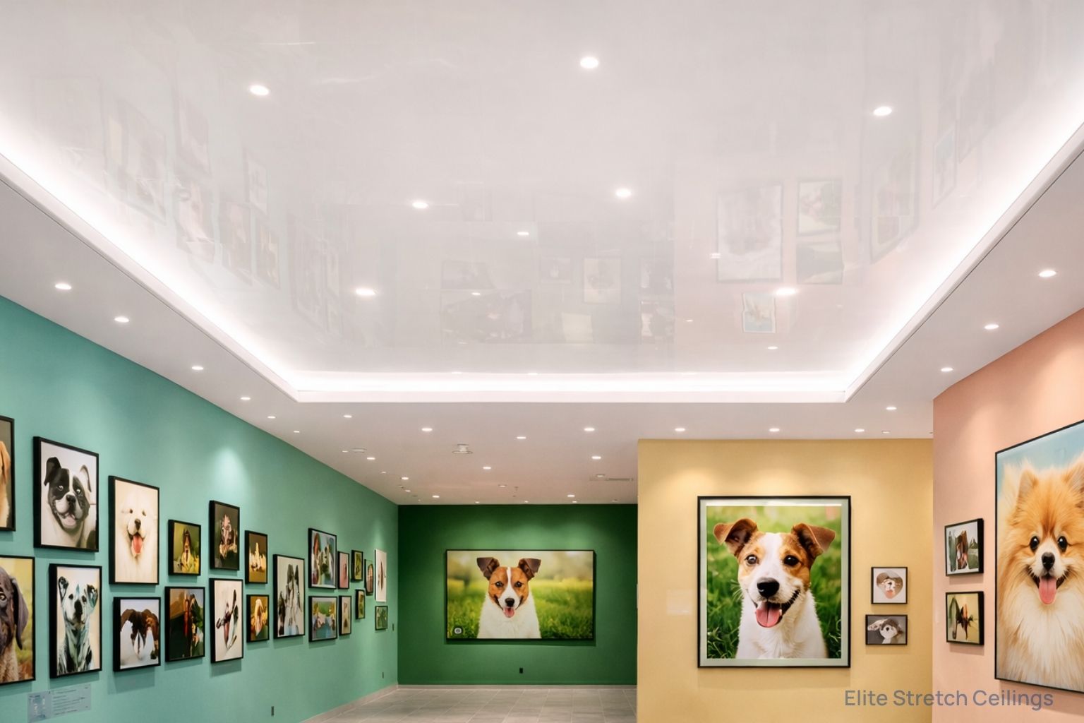 Commercial gloss stretch ceiling installation for an art exhibition.