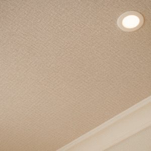 fabric_stretch_ceilings